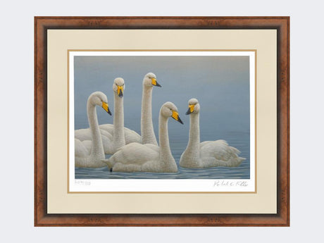 Whooper-Swans-Print-Small-Walnut-Burr