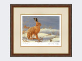 Winter-Hare-Print-Harvest-Twist