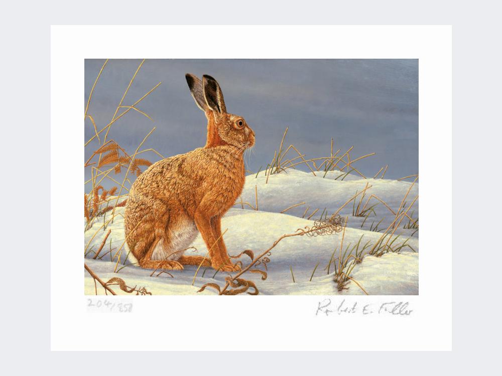 Winter-Hare-Print-Loose-Print-Only