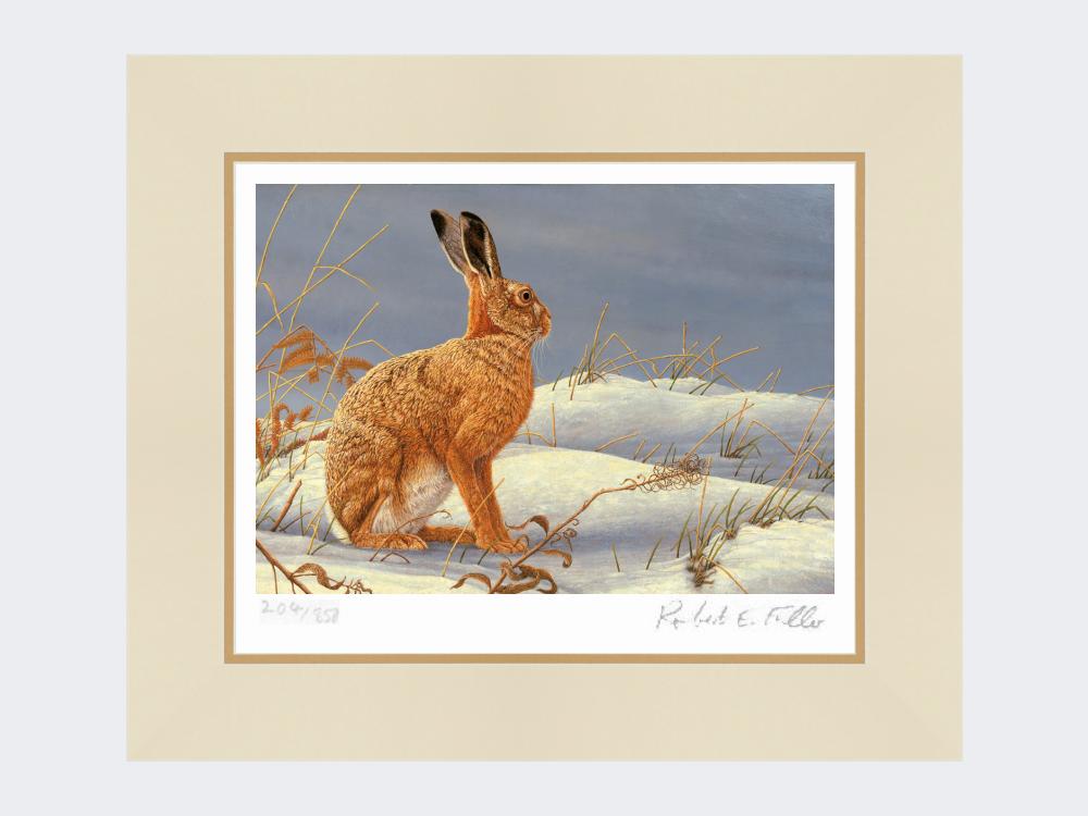 Winter-Hare-Print-Mounted-Print-Only