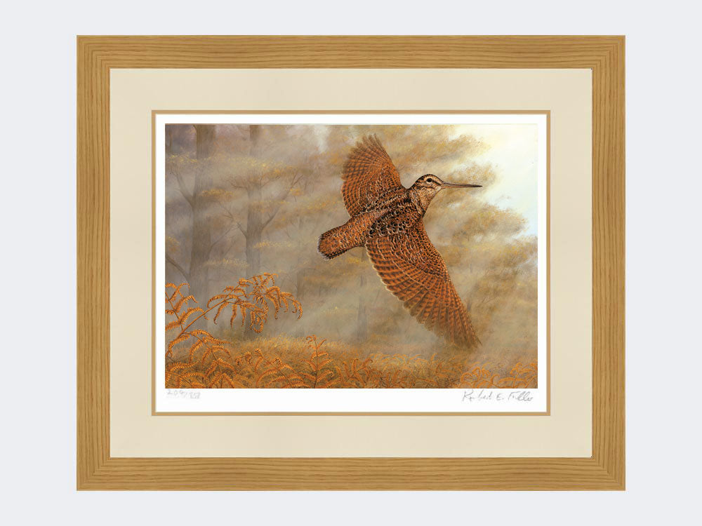 Woodcock Flush | Limited Edition Art Print