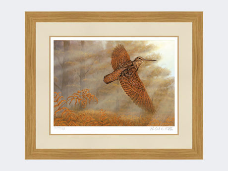 Woodcock Flush | Limited Edition Art Print