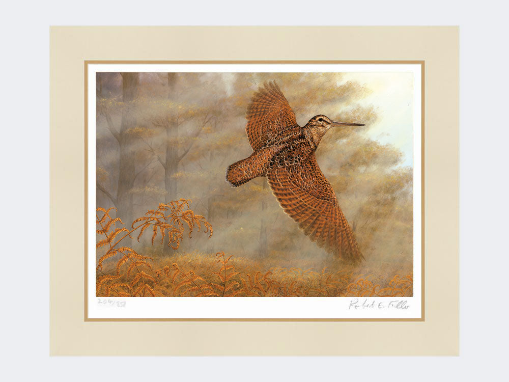 Woodcock Flush | Limited Edition Art Print