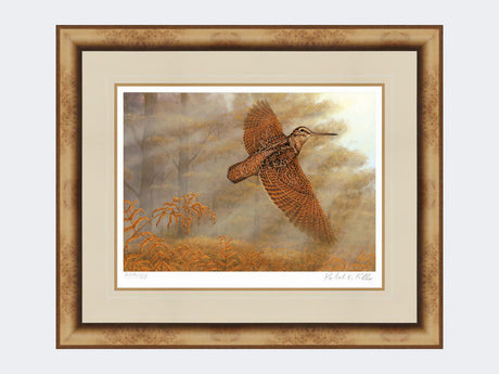 Woodcock Flush | Limited Edition Art Print