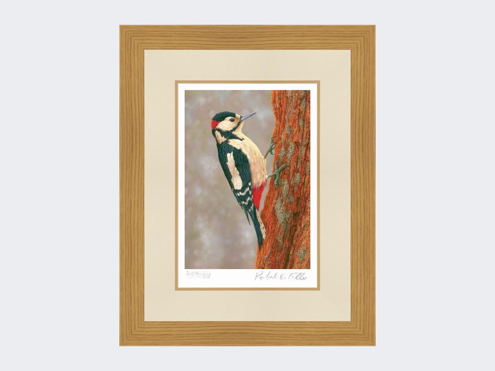 Woodpecker-at-Fotherdale-Print-Light-Oak