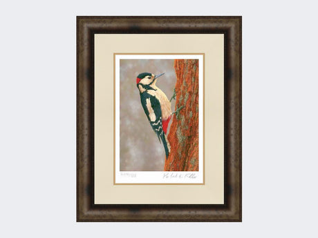 Woodpecker-at-Fotherdale-Print-Medium-Dark-Grey-Burr