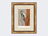 Woodpecker-at-Fotherdale-Print-Medium-Light-Burr