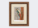 Woodpecker-at-Fotherdale-Print-Medium-Walnut-Burr