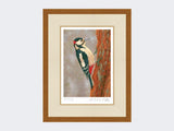 Woodpecker-at-Fotherdale-Print-Rustic-Country