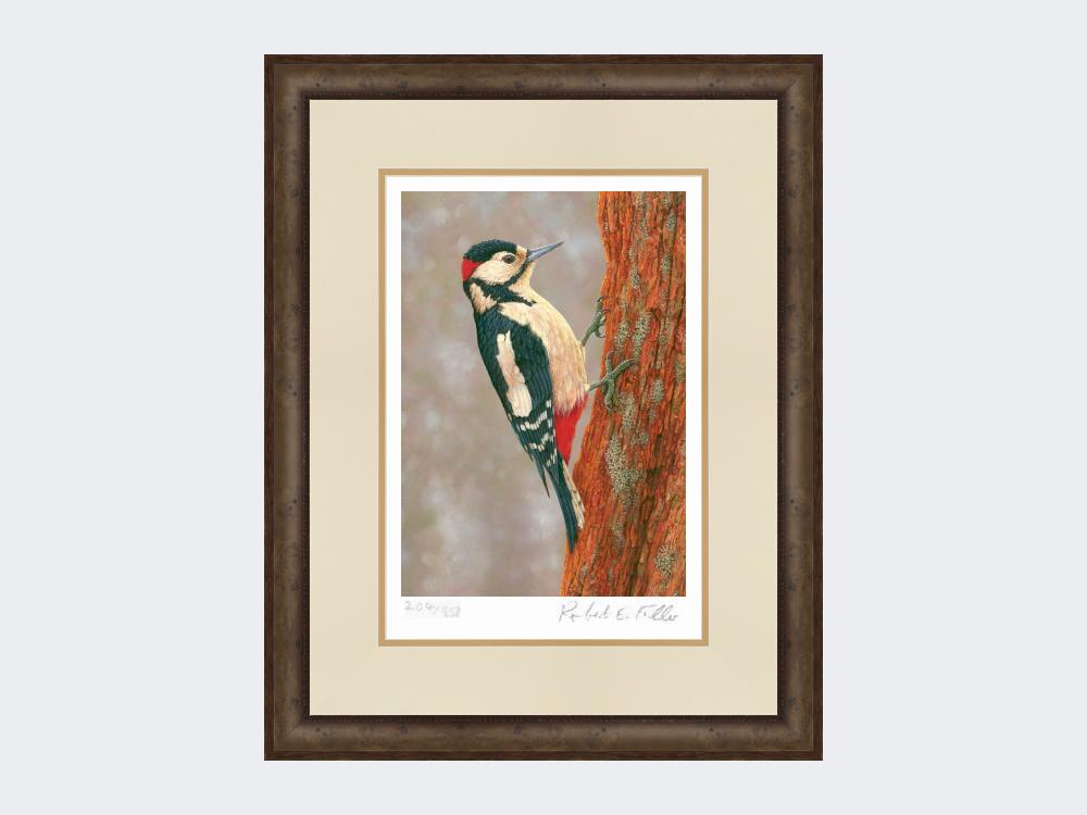 Woodpecker-at-Fotherdale-Print-Small-Dark-Grey-Burr