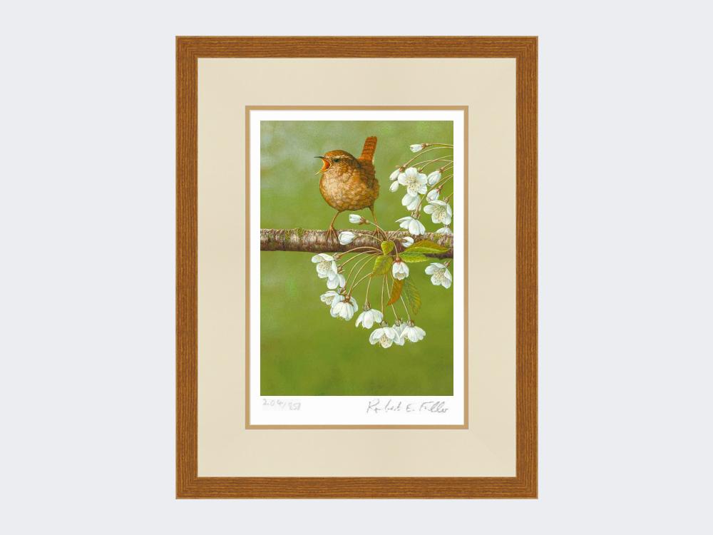 Wren-on-Cherry-Blossom-Print-Rustic-Country