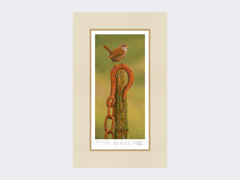 Wren-on-Hook-Print-Mounted-Print-Only