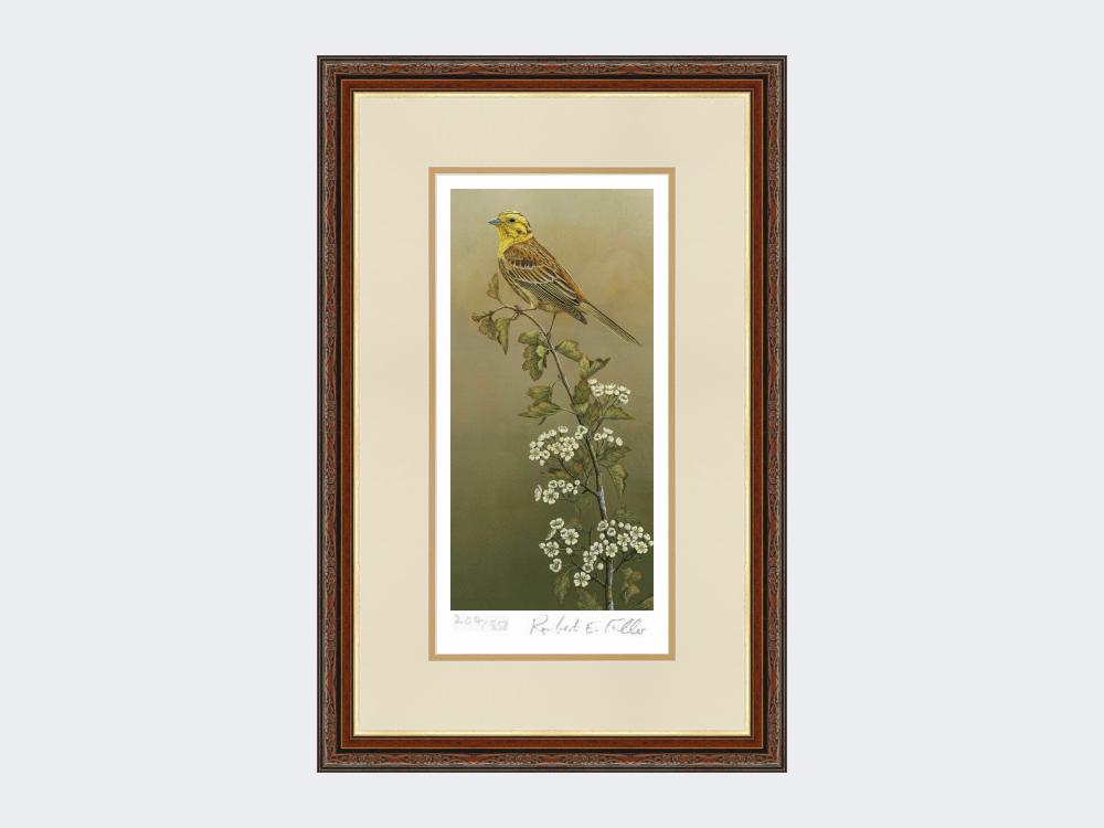 Yellowhammer-Limited-Edition-Print-Harvest-Twist