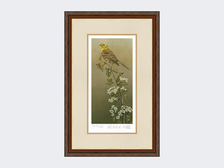 Yellowhammer-Limited-Edition-Print-Harvest-Twist