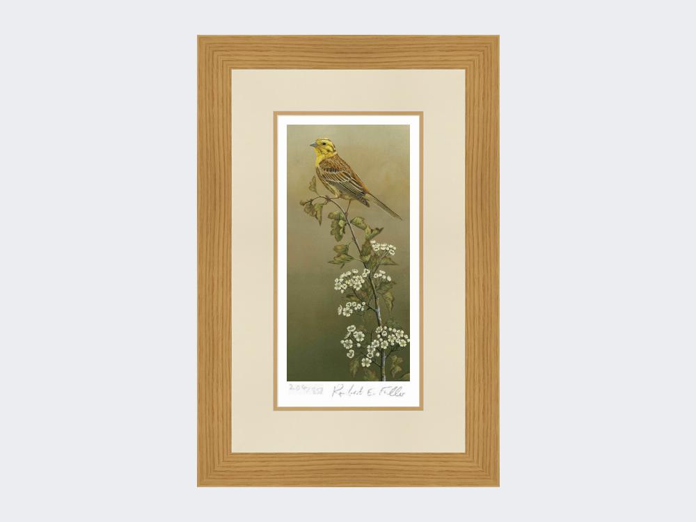 Yellowhammer-Limited-Edition-Print-Light-Oak