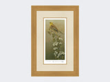 Yellowhammer-Limited-Edition-Print-Light-Oak