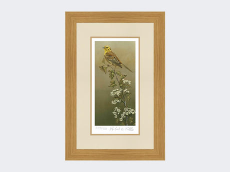 Yellowhammer-Limited-Edition-Print-Light-Oak