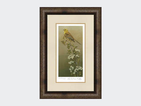 Yellowhammer-Limited-Edition-Print-Medium-Dark-Grey-Burr