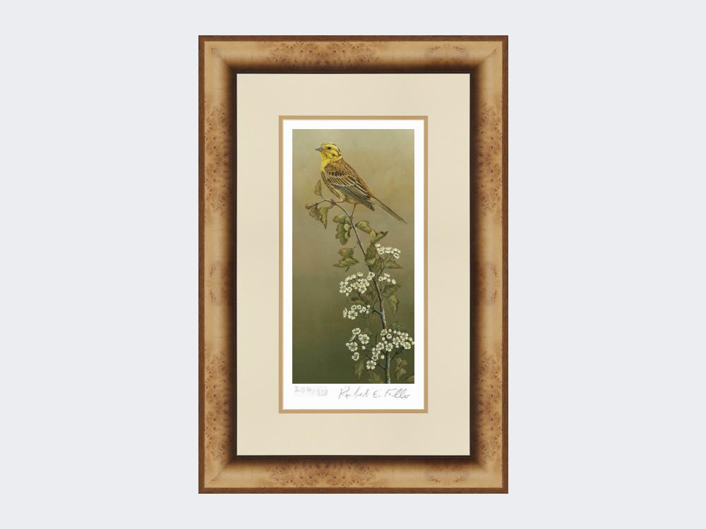 Yellowhammer-Limited-Edition-Print-Medium-Light-Burr