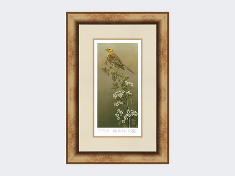 Yellowhammer-Limited-Edition-Print-Medium-Light-Burr