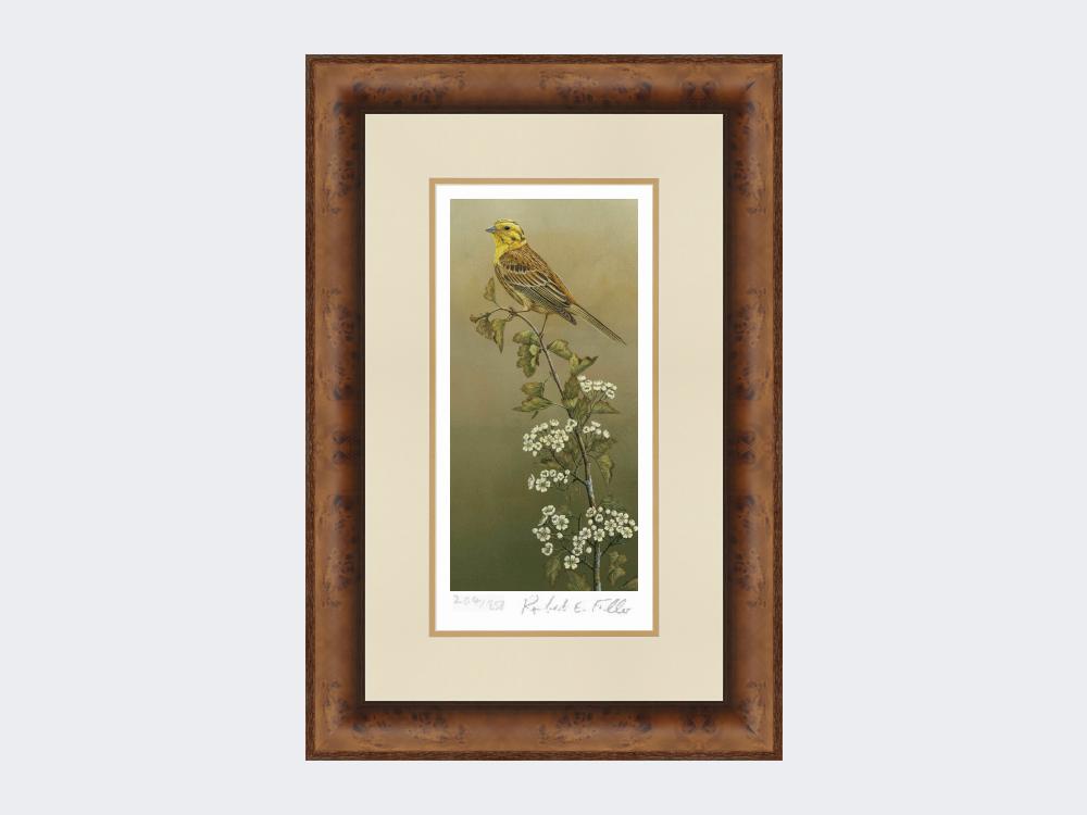 Yellowhammer-Limited-Edition-Print-Medium-Walnut-Burr