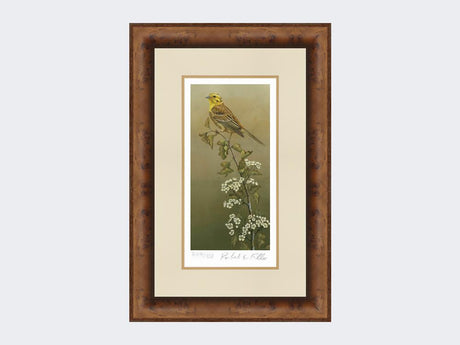 Yellowhammer-Limited-Edition-Print-Medium-Walnut-Burr