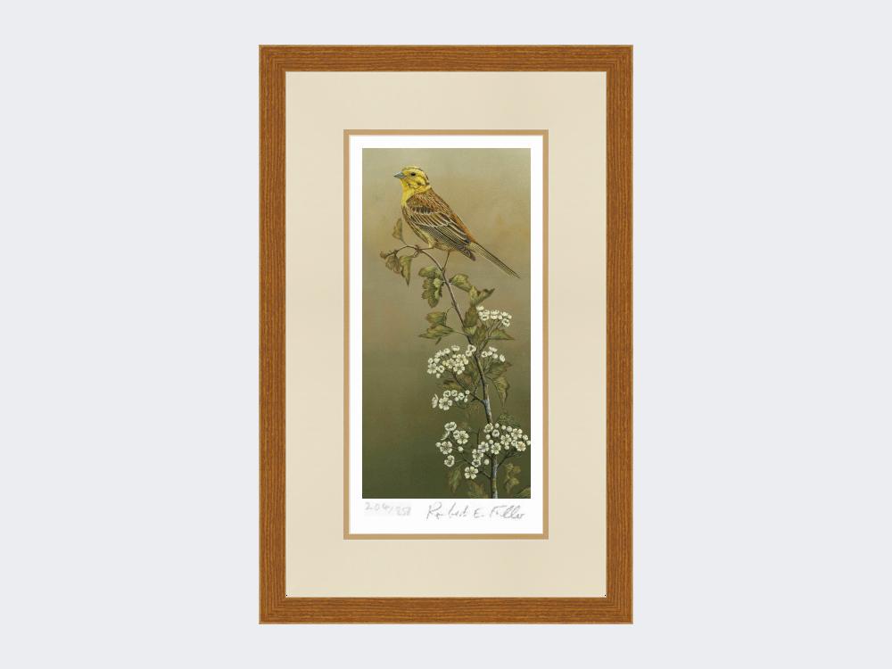 Yellowhammer-Limited-Edition-Print-Rustic-Country