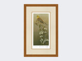 Yellowhammer-Limited-Edition-Print-Rustic-Country