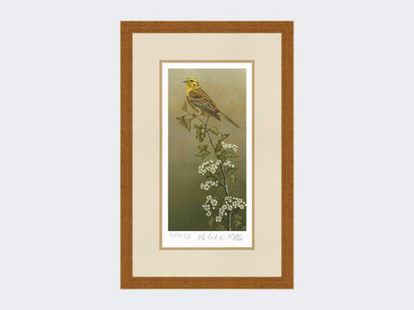 Yellowhammer-Limited-Edition-Print-Rustic-Country