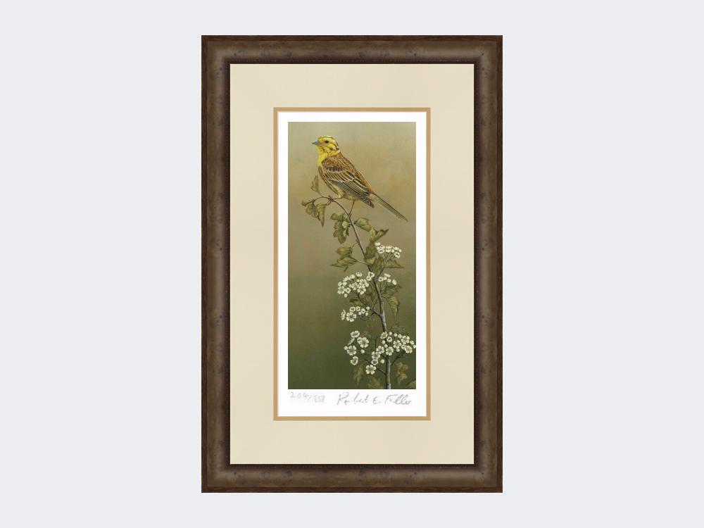 Yellowhammer-Limited-Edition-Print-Small-Dark-Grey-Burr