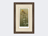 Yellowhammer-Limited-Edition-Print-Small-Dark-Grey-Burr