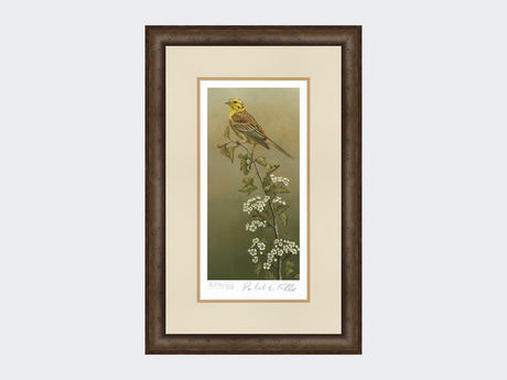 Yellowhammer-Limited-Edition-Print-Small-Dark-Grey-Burr