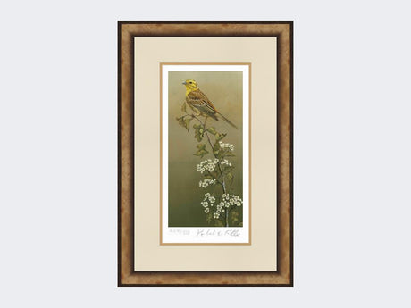 Yellowhammer-Limited-Edition-Print-Small-Light-Burr