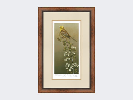 Yellowhammer-Limited-Edition-Print-Small-Walnut-Burr