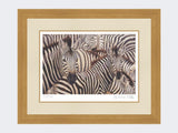 Zebra-Crossing-Print-Light-Oak