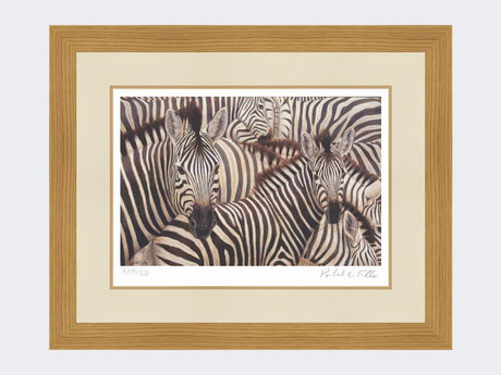 Zebra-Crossing-Print-Light-Oak