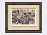 Zebra-Crossing-Print-Medium-Dark-Grey-Burr