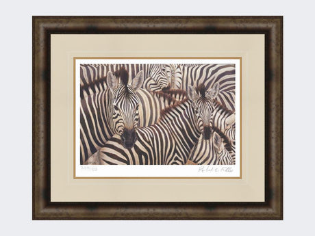 Zebra-Crossing-Print-Medium-Dark-Grey-Burr