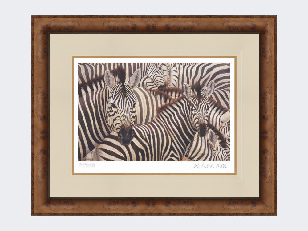 Zebra-Crossing-Print-Medium-Walnut-Burr