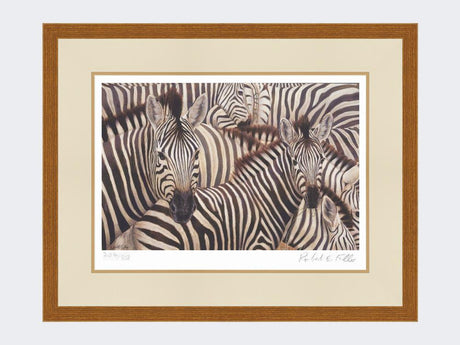 Zebra-Crossing-Print-Rustic-Country