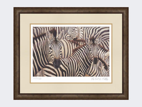 Zebra-Crossing-Print-Small-Dark-Grey-Burr