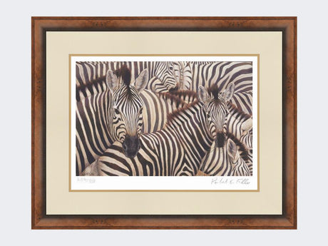 Zebra-Crossing-Print-Small-Walnut-Burr