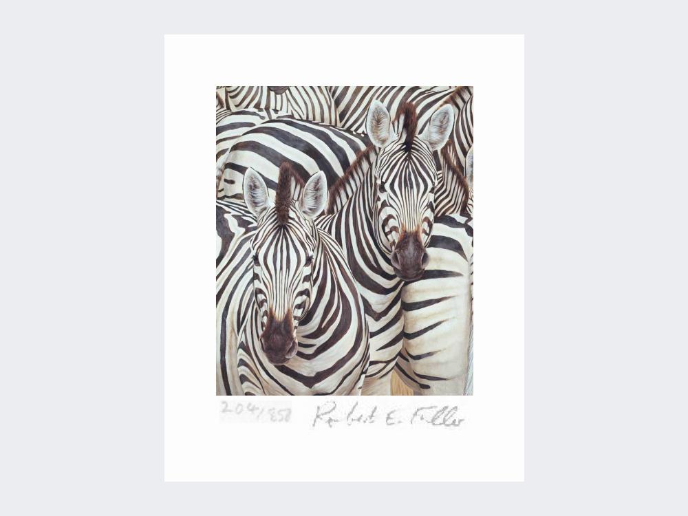 Zebra-Migration-Print-Loose-Print-Only