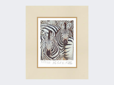 Zebra-Migration-Print-Mounted-Print-Only