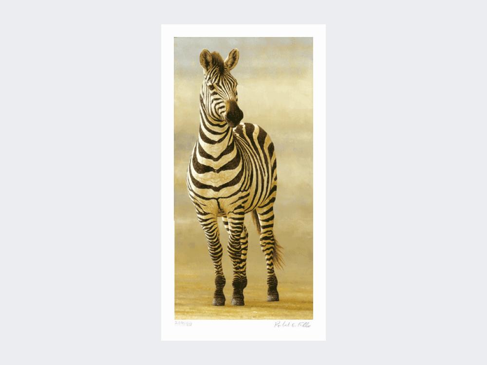 Zebra-of-Ngorongoro-Loose-Print-Only