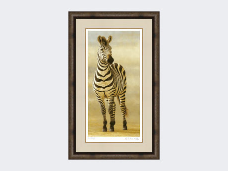 Zebra-of-Ngorongoro-Medium-Dark-Grey-Burr