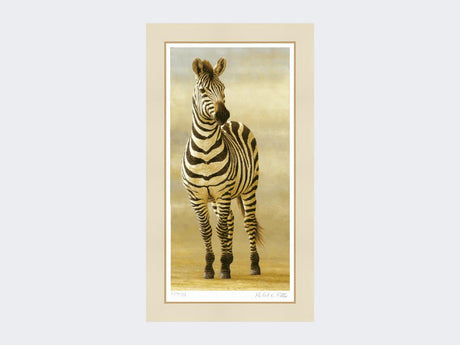 Zebra-of-Ngorongoro-Mounted-Print-Only