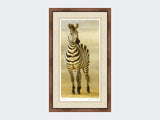 Zebra-of-Ngorongoro-Small-Walnut-Burr