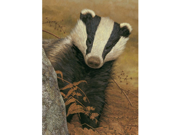 Badger on Lookout | Pack of 5 Christmas cards