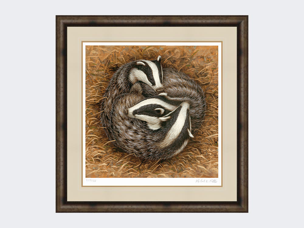 badger-sleeping-circle-medium-grey -burr